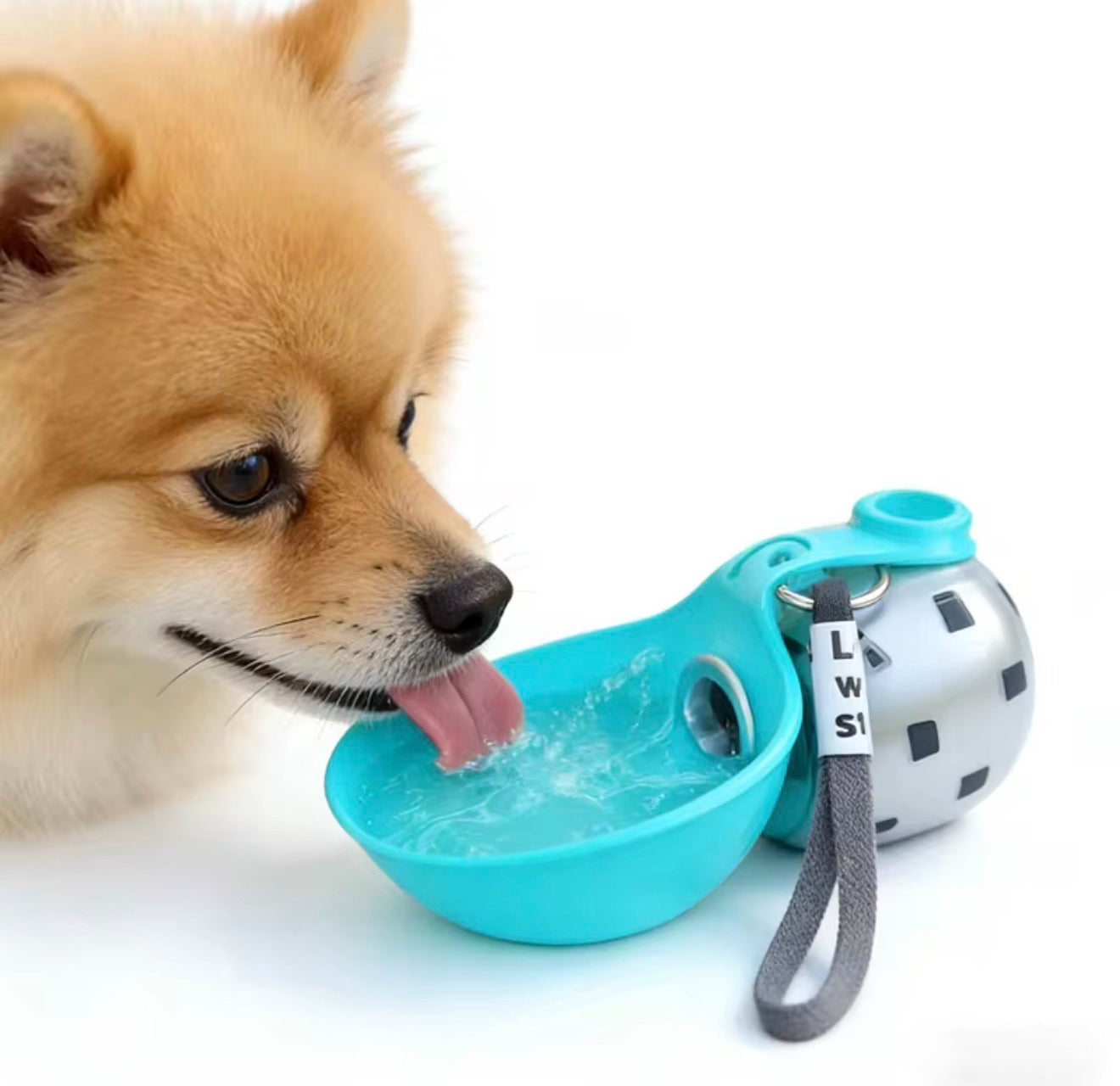 Gourde 2-en-1 pour Chien & Chat – Hydratation Facile Partout